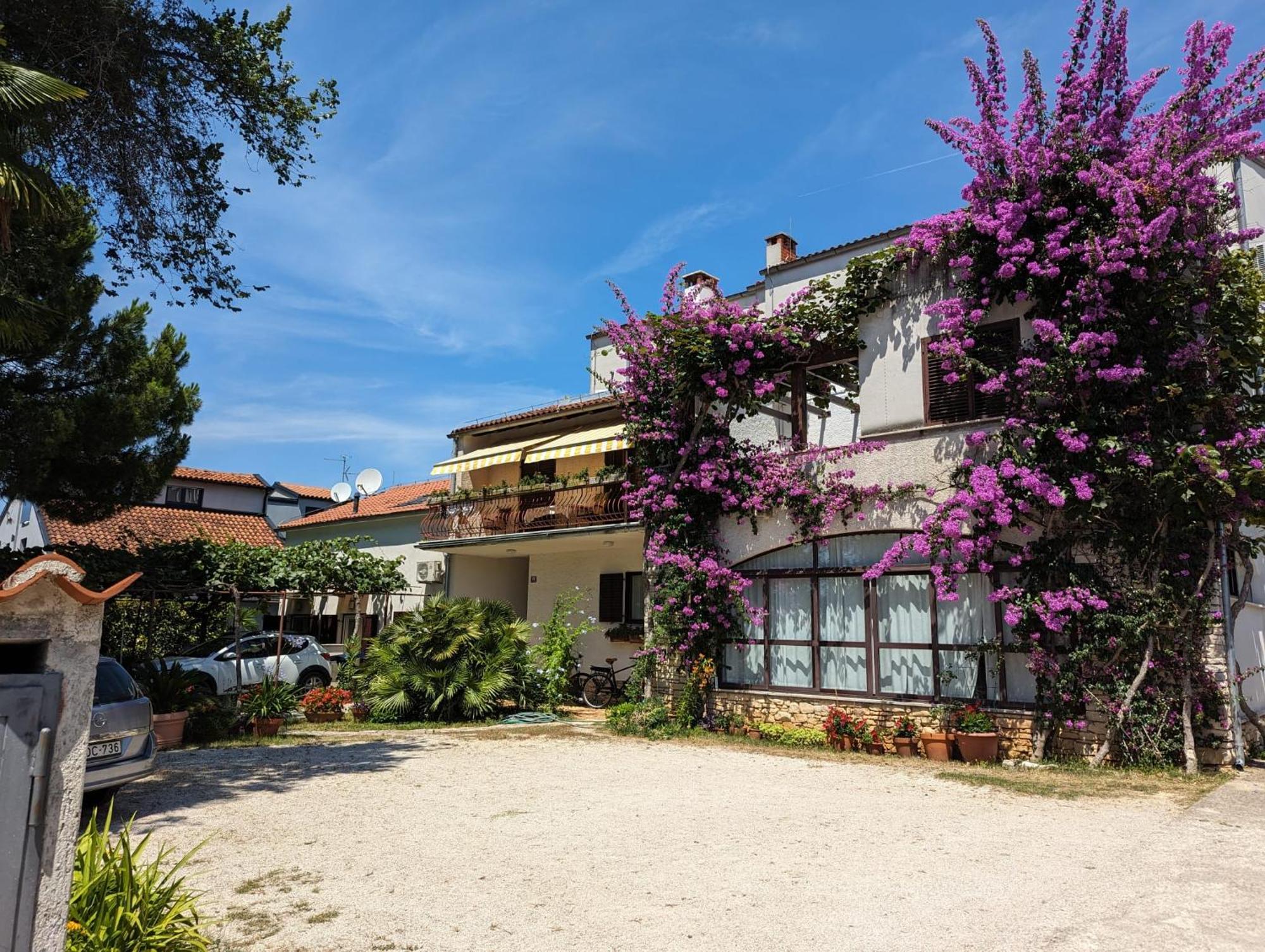 Apartments Maller Rovigno Esterno foto